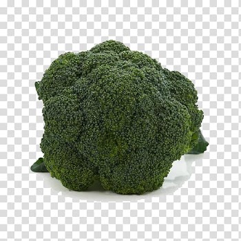 Broccoli Vegetable Cauliflower Chinese cabbage, Vegetables broccoli transparent background PNG clipart