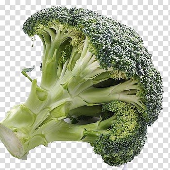 Broccoli Vegetable Cauliflower, Free pull broccoli transparent background PNG clipart