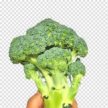 Broccoli Vegetable Cauliflower Icon, A broccoli transparent background PNG clipart