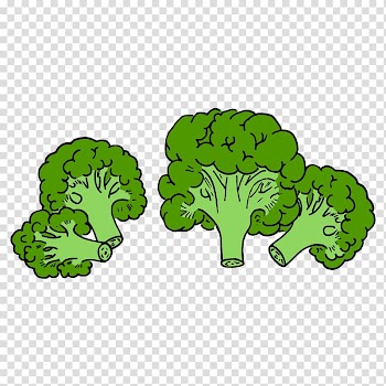 Broccoli Vegetable, Green cauliflower transparent background PNG clipart