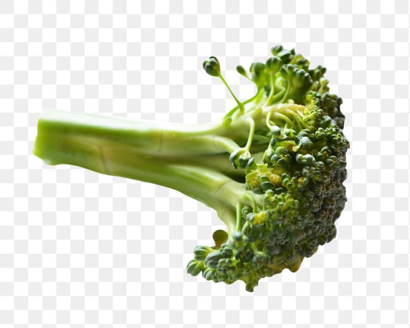 Broccoli vegetable png sticker, transparent | Free PNG - rawpixel