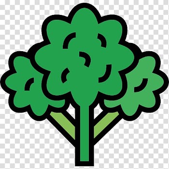 Broccoli Vegetable Scalable Graphics Icon, Cauliflower transparent background PNG clipart