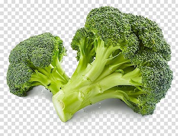Broccoli vegetables illustration, Broccoli Brussels sprout Capitata Group Vegetable Cauliflower, broccoli transparent background PNG clipart