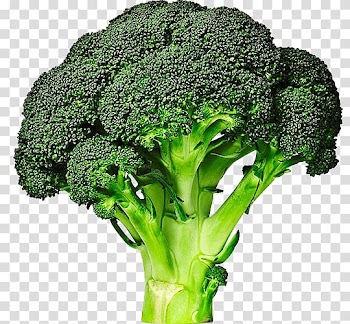 Broccolini Cabbage Vegetable Broccoli sprouts, green vegetables transparent background PNG clipart
