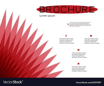Brochure cover design and flyer layout templates vector image