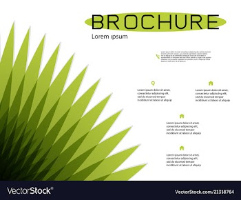 Brochure cover design and flyer layout templates vector image