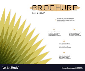 Brochure cover design and flyer layout templates vector image