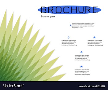 Brochure cover design and flyer layout templates vector image