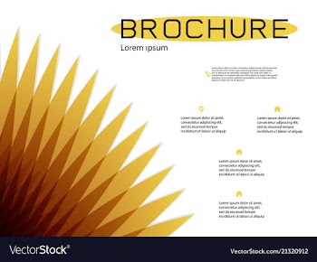 Brochure cover design and flyer layout templates vector image
