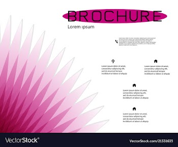 Brochure cover design and flyer layout templates vector image