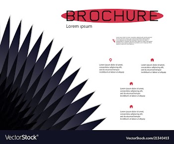 Brochure cover design and flyer layout templates vector image
