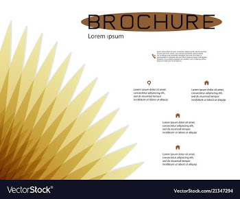 Brochure cover design and flyer layout templates vector image