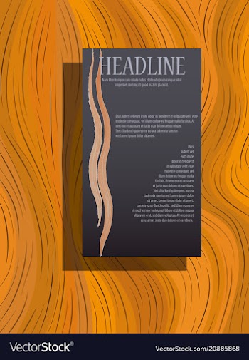 Brochure design brochure template creative vector image