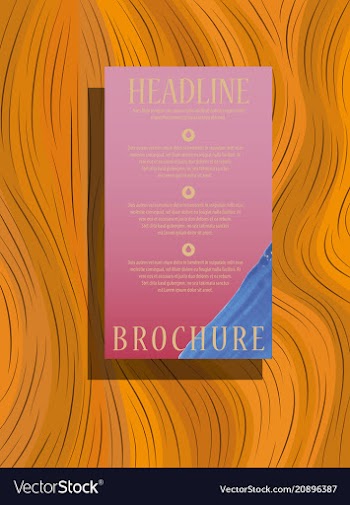 Brochure design brochure template creative vector image