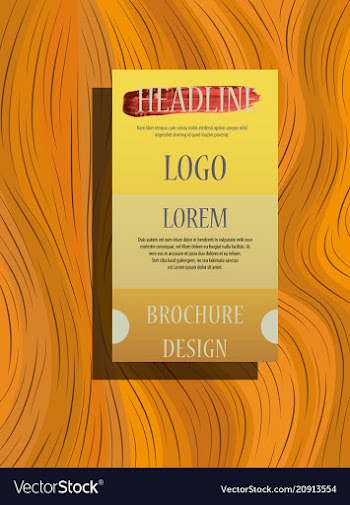 Brochure design brochure template creative vector image
