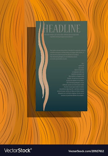 Brochure design brochure template creative vector image