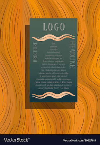 Brochure design brochure template creative vector image