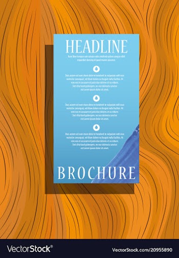 Brochure design brochure template creative vector image