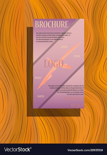 Brochure design template flyers report business vector image