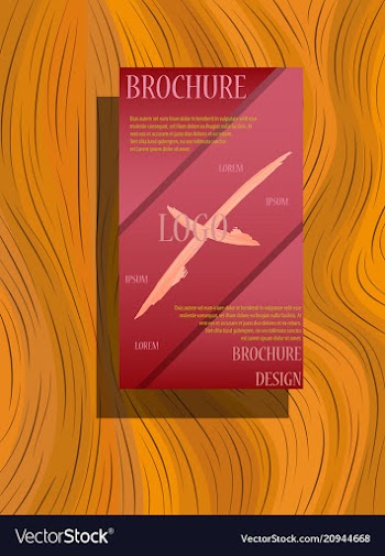 Brochure design template flyers report business vector image