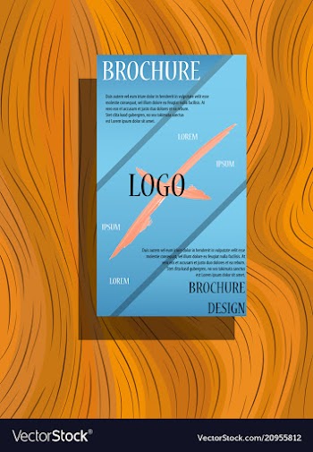 Brochure design template flyers report business vector image
