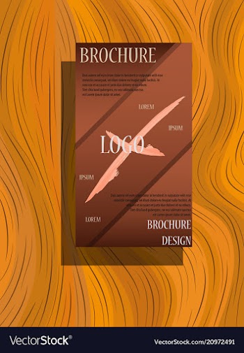 Brochure design template flyers report business vector image