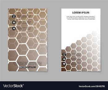 Brochure design template flyers report for vector image