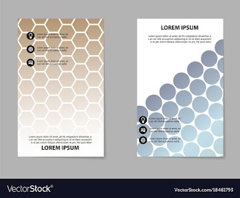 Brochure design template flyers report for vector image