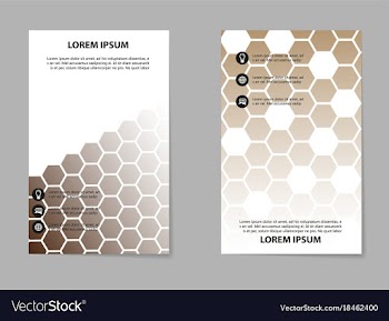 Brochure design template flyers report for vector image