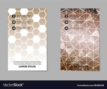 Brochure design template flyers report for vector image
