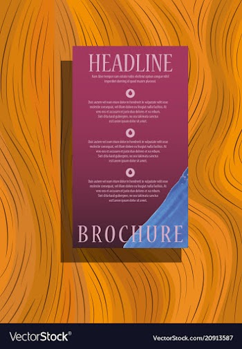Brochure design template geometric abstract circle vector image