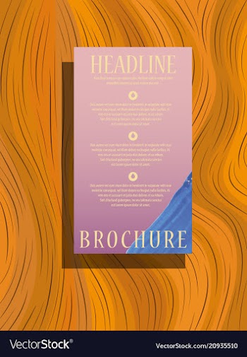 Brochure design template geometric abstract circle vector image