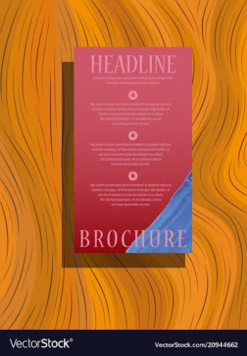 Brochure design template geometric abstract circle vector image