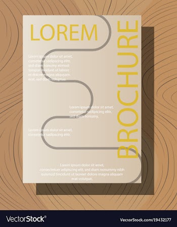 Brochure flyer design layout template size a4 vector image