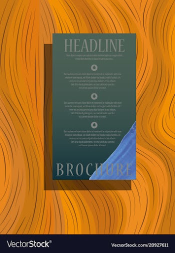 Brochure flyer design layout template size a4 vector image
