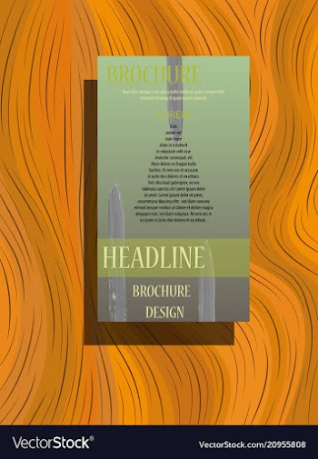 Brochure flyer magazine cover poster template vector image