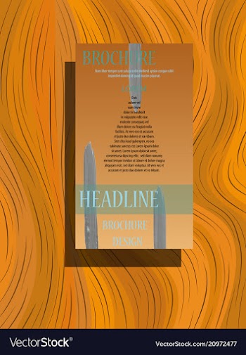 Brochure flyer magazine cover poster template vector image