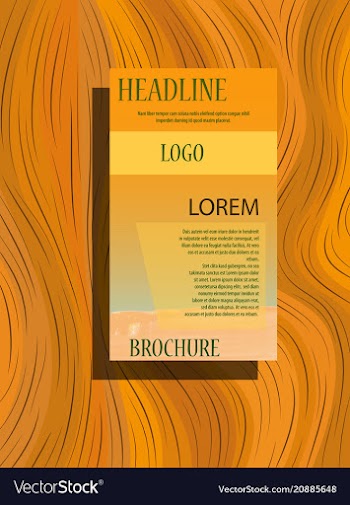 Brochure layout template cover design background vector image