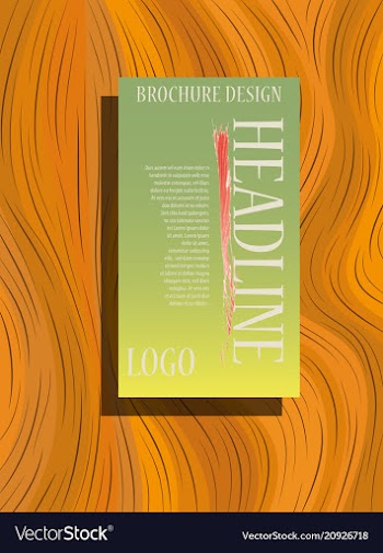 Brochure layout template cover design background vector image