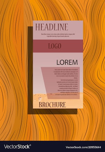Brochure layout template cover design background vector image