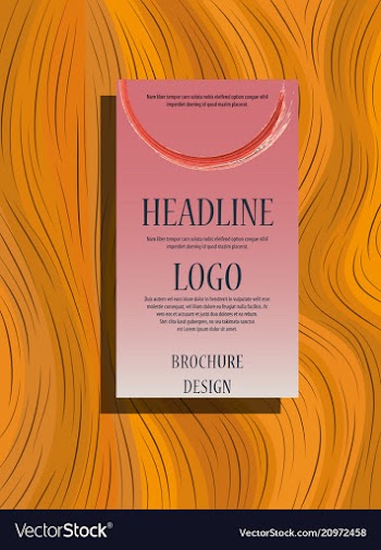 Brochure layout template cover design background vector image