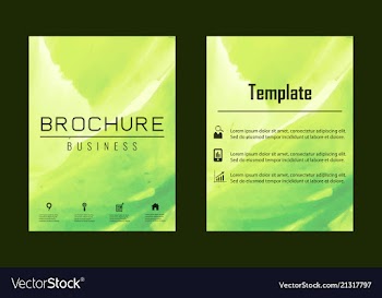 Brochure layout template watercolor cover design vector image
