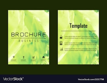 Brochure layout template watercolor cover design vector image
