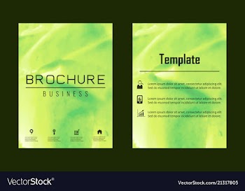 Brochure layout template watercolor cover design vector image