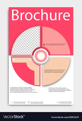 Brochure template flyer design background include vector image