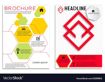 Brochure template flyer design background vector image