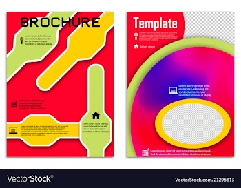 Brochure template flyer design background vector image