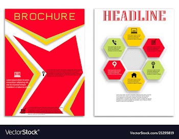 Brochure template flyer design background vector image