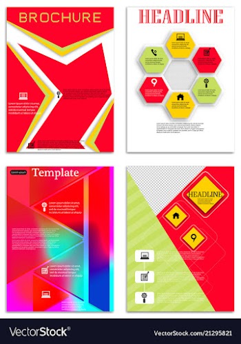 Brochure template flyer design background vector image