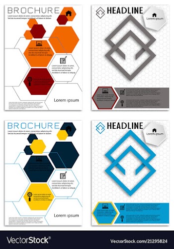 Brochure template flyer design background vector image